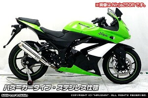 WirusWin ECYEB XbvI}t[ oY[J[^Cv jW250 KAWASAKI JTL }t[