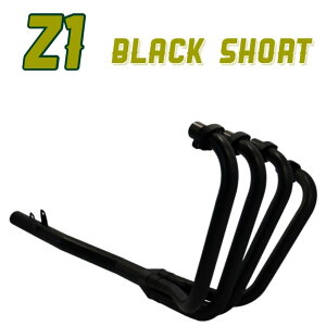 vC}YERNV Z1 V[g ubN KAWASAKI JTL tGL][Xg}t[ }t[