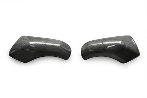 CNC Racing V[GkV[[VO ^NTChK[h 1199Panigale R S/Tricolore 1299 Panigale S 1299Panigale 899Panigale 959Panigale DUCATI hDJeB ^NJo[ ^N֘A O