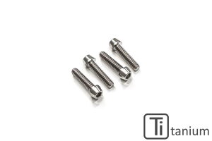 CNC Racing �V�[�G�k�V�[���[�V���O �{���g�Z�b�g M8×25 (4��) �`�^�� 1098 1098R 1098S 848 848EVO HYPERMOTARD1100/S HYPERMOTARD1100EVO SP STREETFIGHTER S STREETFIGHTER848 Scrambler Classic Full Throttle Icon Urban Enduro DUCATI �h�D�J