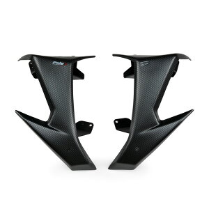 Puig v[` TCh_EtH[XlCLbhX|C[ (DOWNFORCE NAKED SIDE SPOILERS) GSX-8S SUZUKI XYL X|C[EECO O