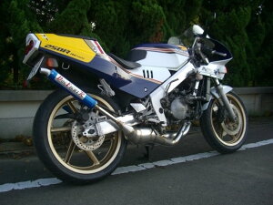 DOGFIGHT RACING hbOt@Cg[VO DFR `o[ NSR250R HONDA z_ }t[