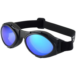 RIDEZ ���C�Y GAS GOGGLE �S�[�O�� �A�p����