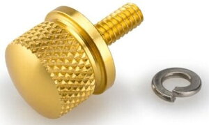 CUSTOM ACCES �J�X�^���A�N�Z�X FINAL SEAT SCREW FOR HARLEY DAVIDSON�CGOLD FLSTSE2/3 CVO Softail Convertible HARLEY-DAVIDSON �n�[���[�_�r�b�h�\�� �V�[�g �V�[�g�֘A �O��