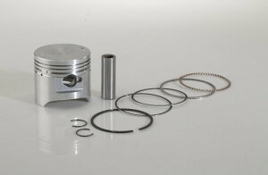 ASPIRA AXs sXg Lbg SHOGUN 110 YAMAHA }n GWp[c GW