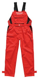 BRIDGESTONE uaXg Tybg ̑ƒ Ap