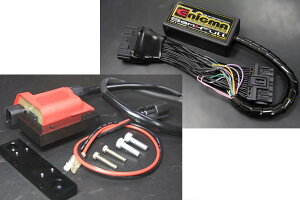 DILTS JAPAN fBcWp Enigma SemiFull with GIGACOjVRC _bNX125 HONDA z_ COjbVRC _Όn GW