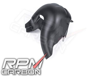 RPM CARBON A[s[GJ[{ }t[q[gK[h(Euro5K) PANIGALE Panigale V4 V4S Streetfighter DUCATI hDJeB }t[K[hEq[gK[h }t[