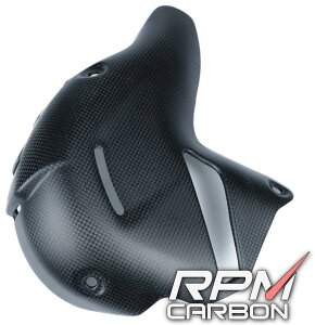 RPM CARBON A[s[GJ[{ }t[q[gK[h 1 (AkrapovicΉ) PANIGALEV4 Panigale V4 V4S Streetfighter DUCATI hDJeB }t[K[hEq[gK[h }t[