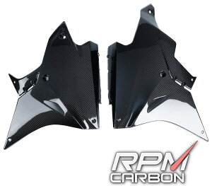 RPM CARBON A[s[GJ[{ A_[JE (}t[Ή) S1000RR (K46) BMW JE֘A O