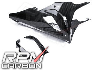 RPM CARBON A[s[GJ[{ A_[JE (}t[Ή) S1000RR (K46) M1000RR BMW JE֘A O