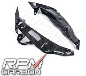 RPM CARBON アールピーエムカーボン Radiator Covers for S1000R (K47) S1000R BMW BMW