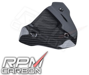 RPM CARBON A[s[GJ[{ [^[oCU[ S1000R (K47) BMW JE֘A O
