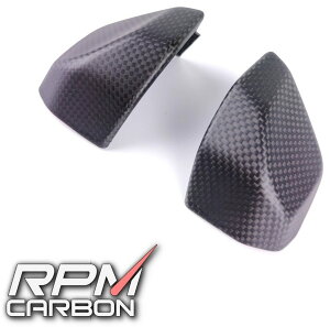 RPM CARBON A[s[GJ[{ [^[obNJo[ STREETFIGHTER V4 Streetfighter V4S DUCATI hDJeB [^[Jo[ [^[ECWP[^[֌W dn