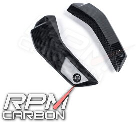 RPM CARBON アールピーエムカーボン Lower Radiator Cover Guard Panel for STREETFIGHTER V4 Streetfighter V4 Streetfighter V4S DUCATI ドゥカティ DUCATI ドゥカティ