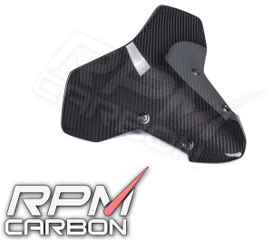 RPM CARBON A[s[GJ[{ [^[oCU[ Z H2 KAWASAKI JTL JE֘A O