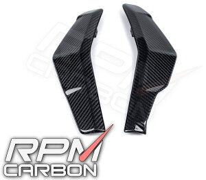 RPM CARBON A[s[GJ[{ WG[^[TChJE STREETFIGHTERV2 Streetfighter V2 DUCATI hDJeB TChJEETChJo[ JE֘A O