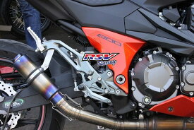 RSV racing アールエスブイレーシング Rearset adjustable Z800 KAWASAKI カワサキ バックステップ ステップ 足回り