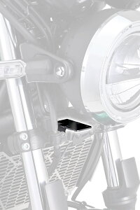 DAYTONA fCgi hCuR[_[tLbg Z650RS KAWASAKI JTL ̑hCuR[_[IvVECi oCNpJ dq@