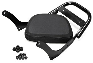 ENDURANCE GfX obNXgZbg u1100T DCT HONDA z_ Ouo[E^fo[EV[V[o[ O