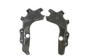 LighTech ���C�e�b�N �t���[���v���e�N�^�[ NINJA ZX-4R SE ZX-4RR KAWASAKI �J���T�L �t���[���J�o�[ �t���[��