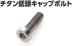 GALE SPEED QCXs[h `^ᓪLbv{g S}X^[V_[ ̑Nb`}X^[V_[IvVECi 쓮n