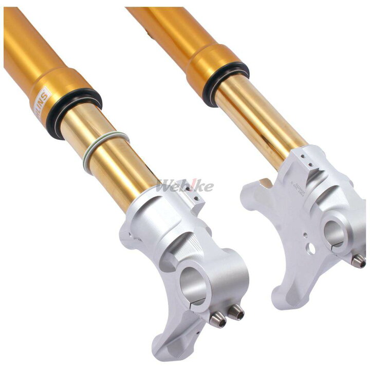 楽天市場】OHLINS オーリンズ 倒立フロントフォーク FG R&T 200 MT-10  