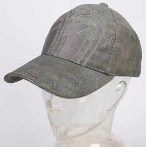 DEGNER fOi[ ySPj×fOi[zU[Lbv LbvEXq Ap