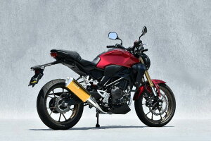 YAMAMOTO RACING }g[VO SPEC-A SUS TYPE-SA CB250R HONDA z_ tGL][Xg}t[ }t[ TCT[F`^S[h(zɎ_)