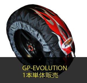 GET HOT Qbgzbg ^CEH[}[ GP-EVOLUTION P̕[i JP250TCY AyEVO-JP250Rz CBR250R SPADA ZX25R YZF-R25 HONDA z_ KAWASAKI JTL YAMAHA }n ̑^C֘Api
