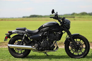 SPj XyVp[cj POWERBOX TCT[ Ci[BOX^Cv ELIMINATOR SE KAWASAKI JTL XbvI}t[ }t[