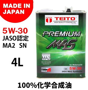 TEITO eCg PREMIUM M4S GWICy5W-30zy4Lzy4TCNICz 4TCNIC IC