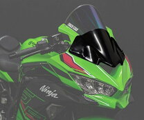 楽天市場】zx 25r カウルの通販