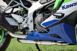 SPj XyVp[cj POWERBOX pCv Ninja ZX-4R SE ZX-4RR KAWASAKI JTL GL][XgpCv }t[