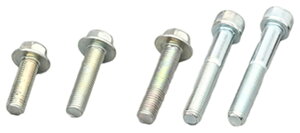 DAYTONA fCgi yCEIvVp[cz{gZbg ̑GWJo[IvVECi GWp[c GW