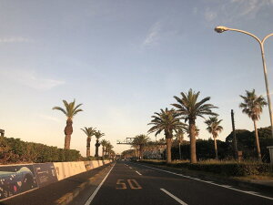 T�fs �e�B�[�Y VAS-V �V�[���h RX-7X FIM Racing#1 ASTRAL-X RAPIDE-NEO XD ASTRO-GX VECTOR-X XO �w�����b�g�V�[���h �w�����b�g �~���[�R�[�e�B���O�J���[�F�`�^���S�[���h