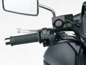 SUZUKI XYL Obvq[^[ XJCEFCu250 ^CvS