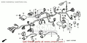 CMS �V�[�G���G�X HARNESS WIRE CB250 1998 W HONG KONG HONDA �z���_ ���C���n�[�l�X �X�C�b�`�E�n�[�l�X�֌W �d���n