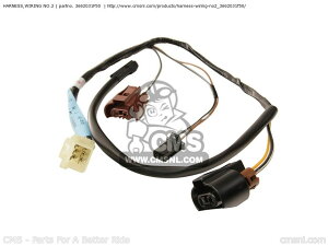 CMS �V�[�G���G�X HARNESS�CWIRING NO.2 GSF600S BANDIT 2000 Y USA E03 2001 K1 2002 K2 2003 K3 SUZUKI �X�Y�L ���C���n�[�l�X �X�C�b�`�E�n�[�l�X�֌W �d���n