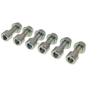 GALE SPEED QCXs[h NbVhCu{gSET P1.25 (6{) CBR1100XXX[p[ubNo[h X11 ZRX1100 ZZR1100/ZX-11 XJR1300 XJR1200 FZS1000tFU[ HONDA z_ KAWASAKI JTL YAMAHA }n ̑