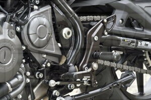 BABYFACE xr[tFCX ptH[}XXebvLbg X350 HARLEY-DAVIDSON n[[_rbh\ obNXebv Xebv 