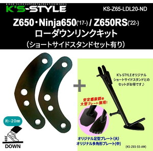 K�fs-STYLE �P�C�Y�X�^�C�� ���[�_�E�������N�L�b�g Ninja650 Z650 Z650RS KAWASAKI �J���T�L �T�C�h�X�^���h �t���[��