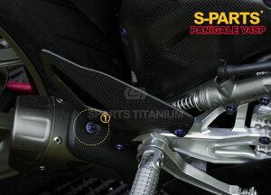 S-PARTS GXp[c }t[q[gK[hp`^{gZbg STREETFIGHTER V2 V4 S SP SP2 PANIGALE DUCATI hDJeB ̑OIvVECi O