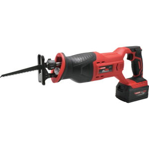 ASTRO PRODUCTS AXgv_Nc DC18V [dVv\[ RS850 ̑H