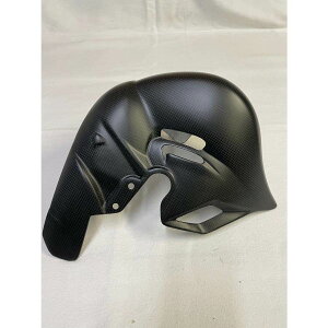 CARBONVANI J[{o[j GL][Xgq[gK[h 28.5PLUS EURO-5 pjK[ V4.S DUCATI hDJeB }t[K[hEq[gK[h }t[