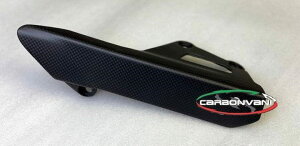 CARBONVANI J[{o[j `F[K[h fBAx V4 DUCATI hDJeB t[