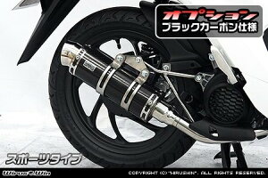 WirusWin ウイルズウィン ロイヤルマフラー スポーツタイプ ディオ110 HONDA ホンダ フルエキゾーストマフラー マフラー