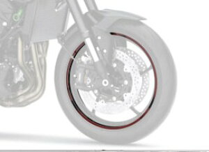 Kawasaki JTL zC[e[v Z900SE Ninja 1100SX SE KAWASAKI XebJ[EXgCv O