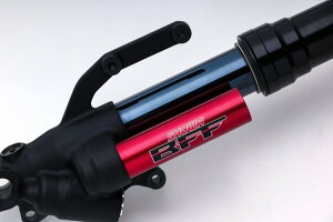 ADVANTAGE Ahoe[W SHOWA[V[] BFF(Balance Free front Fork) Z900 KAWASAKI JTL tgtH[N TXyV 