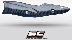 SC-PROJECT SCプロジェクト 純正キャタライザー用 カーボンプロテクションカバー Z900 KAWASAKI カワサキ マフラーガード・ヒートガード マフラー
